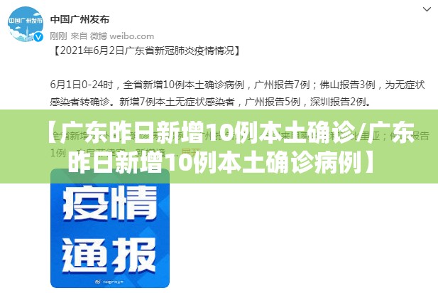 【广东昨日新增10例本土确诊/广东昨日新增10例本土确诊病例】