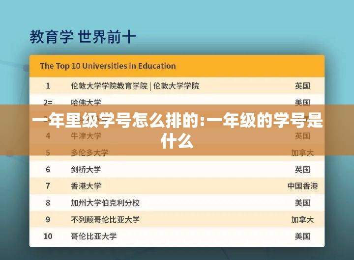 一年里级学号怎么排的:一年级的学号是什么
