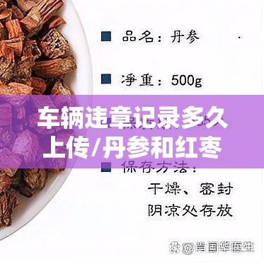 车辆违章记录多久上传/丹参和红枣能疏通血管吗