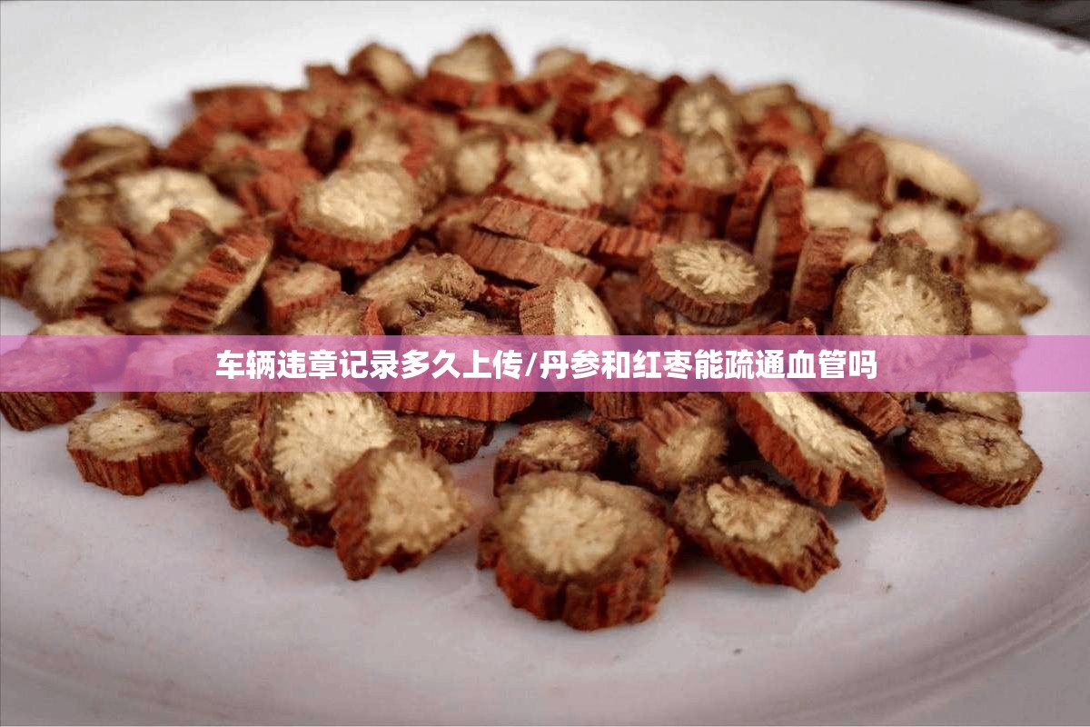车辆违章记录多久上传/丹参和红枣能疏通血管吗