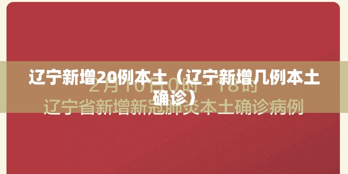 辽宁新增20例本土（辽宁新增几例本土确诊）