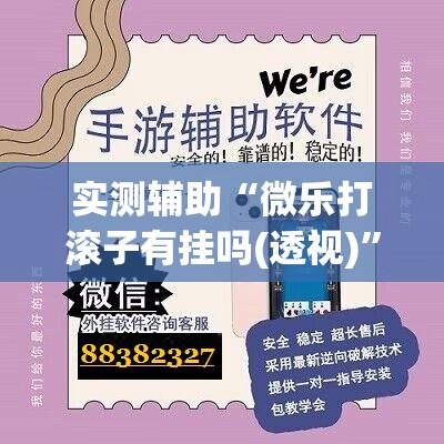 实测辅助“微乐打滚子有挂吗(透视)”开挂辅助脚本+详细开挂安装教程