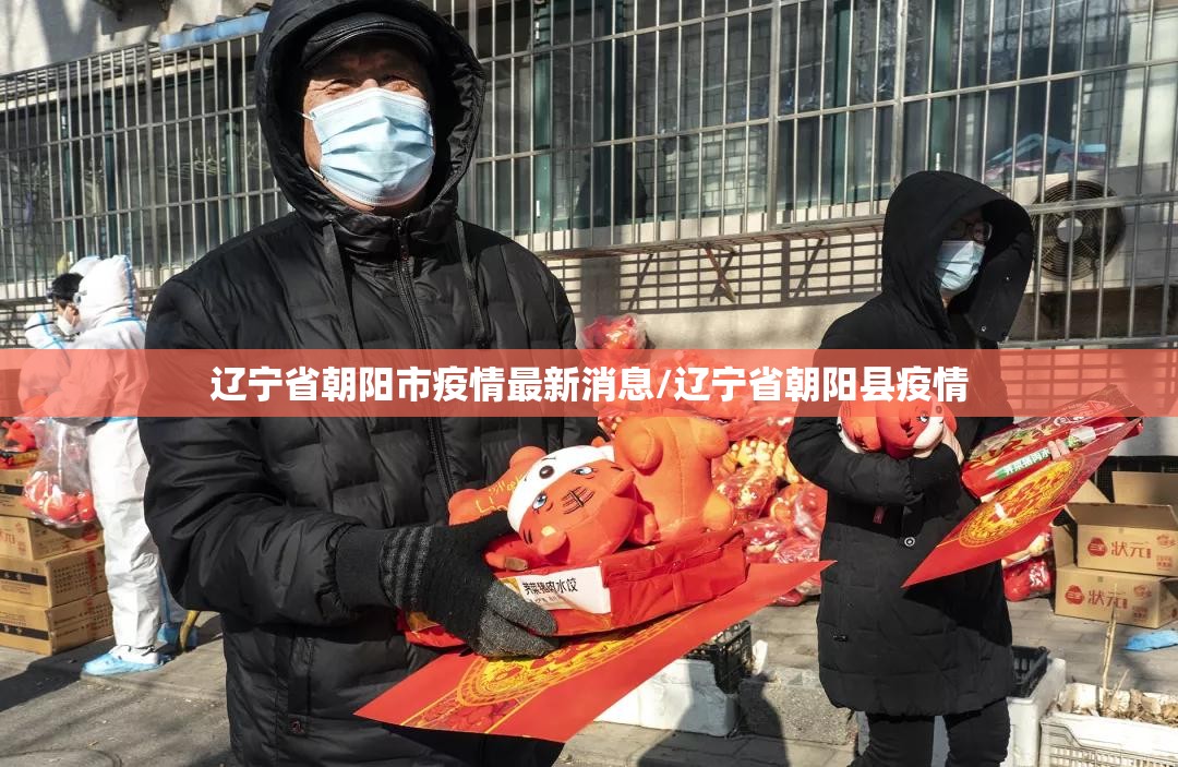 辽宁省朝阳市疫情最新消息/辽宁省朝阳县疫情