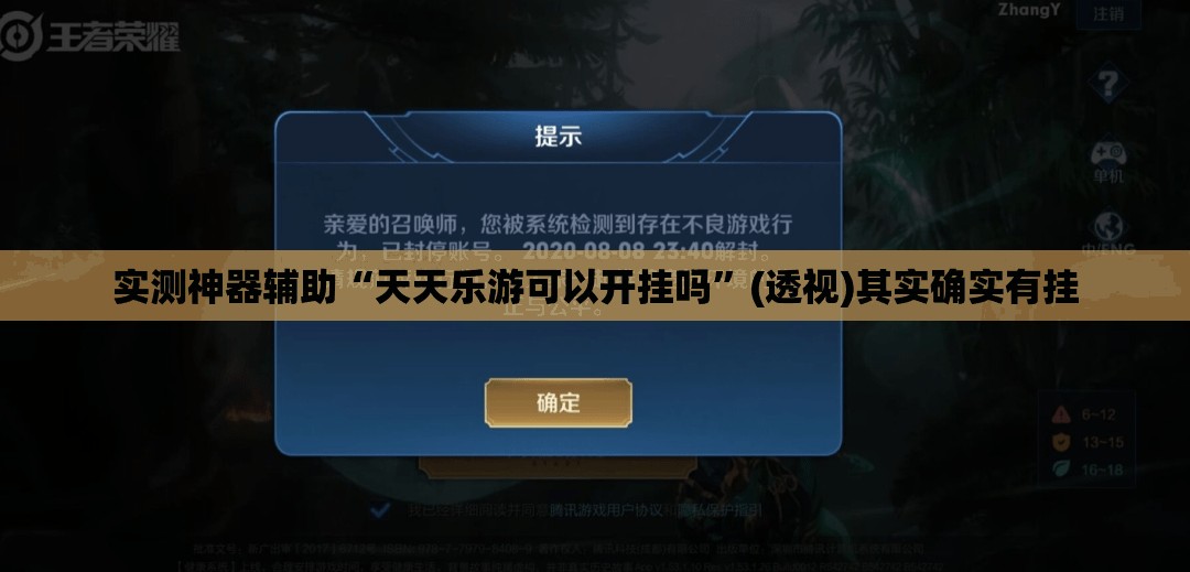实测神器辅助“天天乐游可以开挂吗	”(透视)其实确实有挂