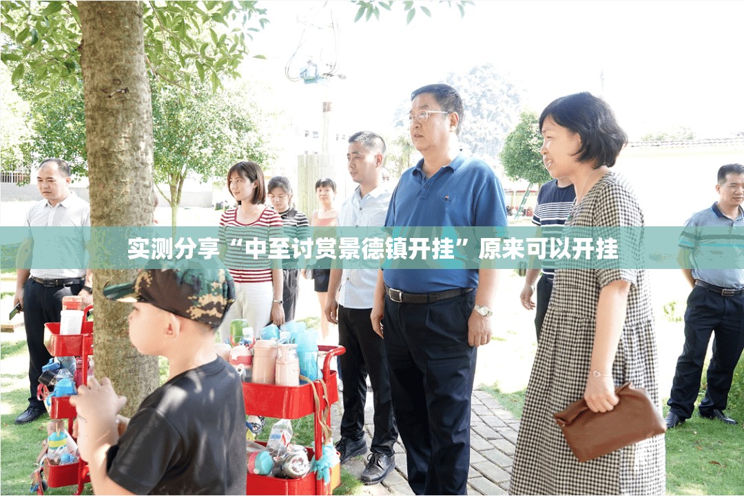 实测分享“中至讨赏景德镇开挂”原来可以开挂