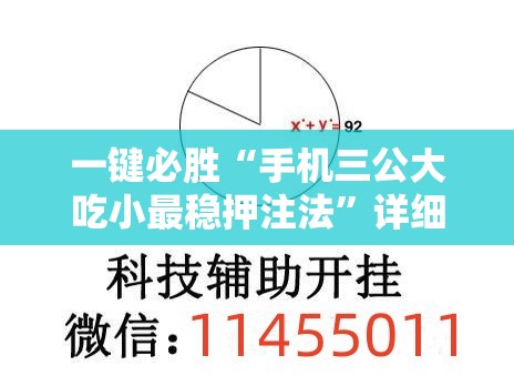 一键必胜“手机三公大吃小最稳押注法	”详细外挂透视辅助软件教程