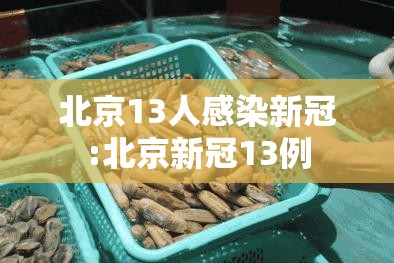 北京13人感染新冠:北京新冠13例