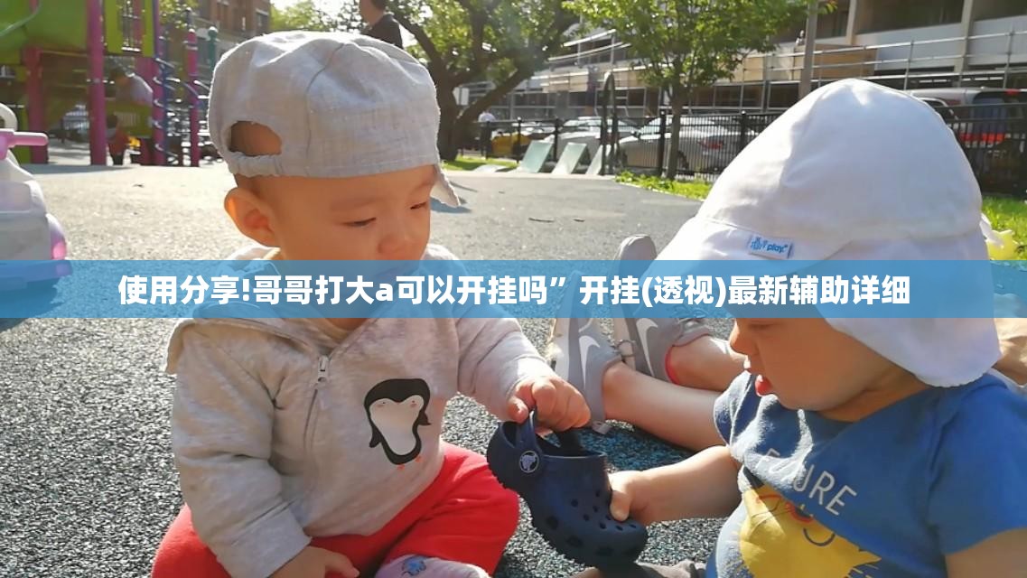 使用分享!哥哥打大a可以开挂吗”开挂(透视)最新辅助详细