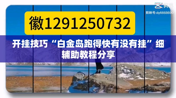 开挂技巧“白金岛跑得快有没有挂	”细辅助教程分享