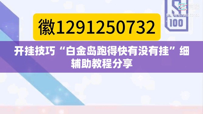 开挂技巧“白金岛跑得快有没有挂”细辅助教程分享