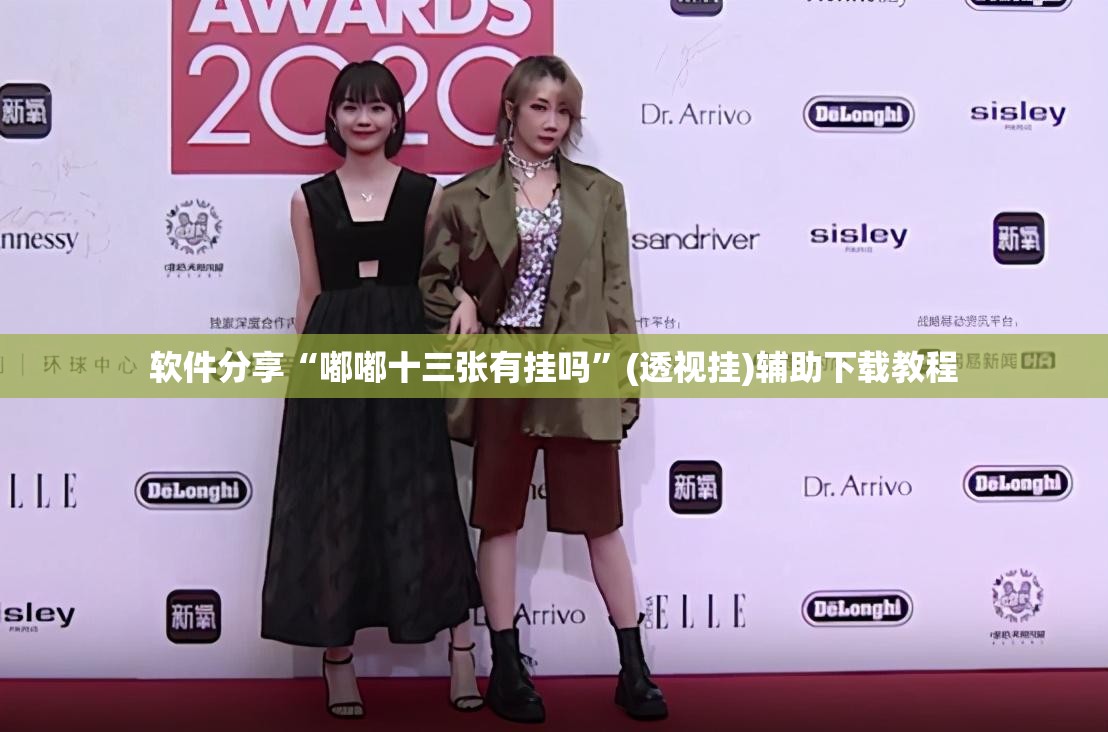 软件分享“嘟嘟十三张有挂吗”(透视挂)辅助下载教程