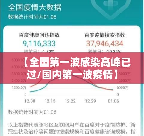 【全国第一波感染高峰已过/国内第一波疫情】