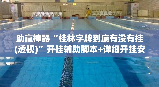 助赢神器“桂林字牌到底有没有挂(透视)	”开挂辅助脚本+详细开挂安装教程