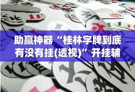 助赢神器“桂林字牌到底有没有挂(透视)”开挂辅助脚本+详细开挂安装教程