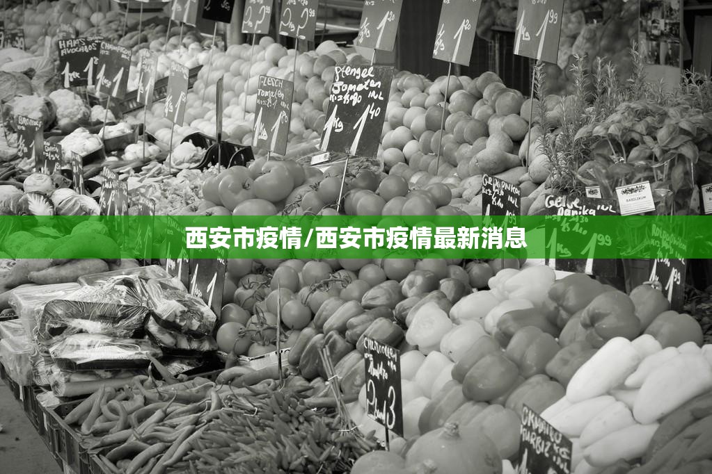 西安市疫情/西安市疫情最新消息