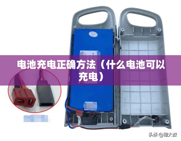 电池充电正确方法（什么电池可以充电）