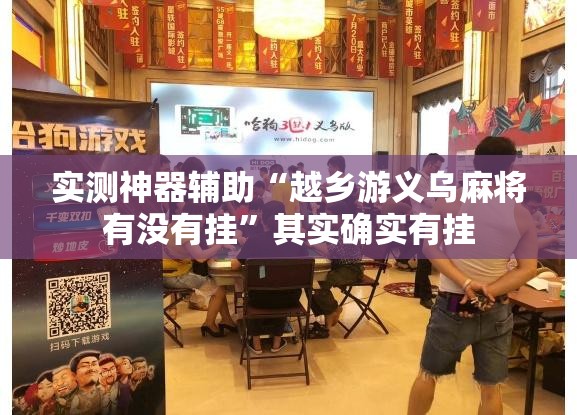 实测神器辅助“越乡游义乌麻将有没有挂”其实确实有挂
