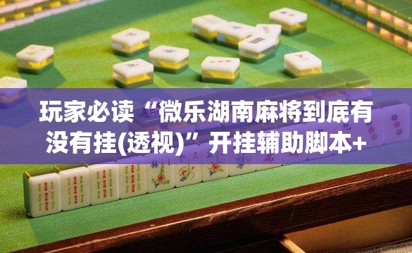 玩家必读“微乐湖南麻将到底有没有挂(透视)	”开挂辅助脚本+详细开挂安装教程