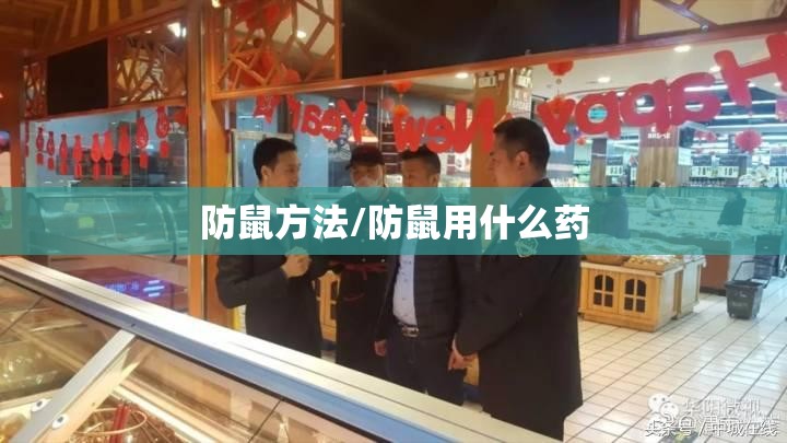 防鼠方法/防鼠用什么药