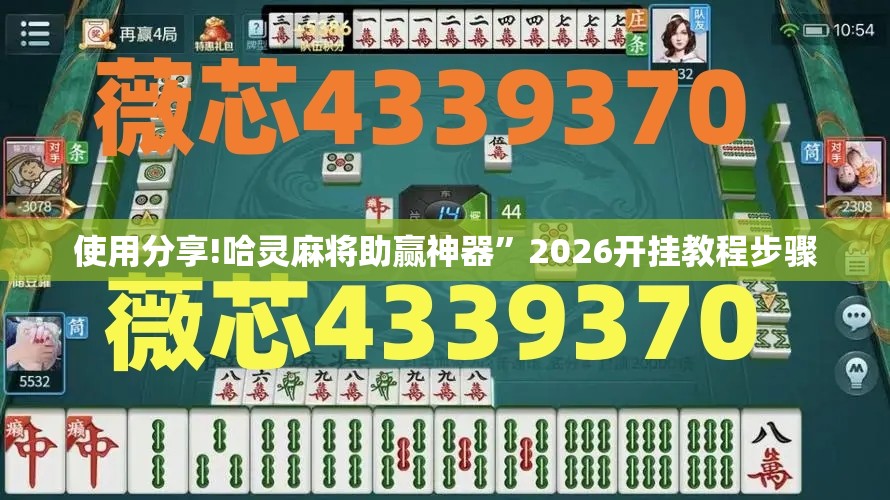 使用分享!哈灵麻将助赢神器”2026开挂教程步骤