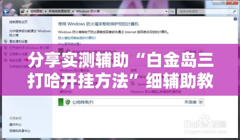 分享实测辅助“白金岛三打哈开挂方法”细辅助教程分享