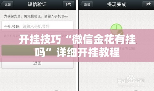 开挂技巧“微信金花有挂吗”详细开挂教程