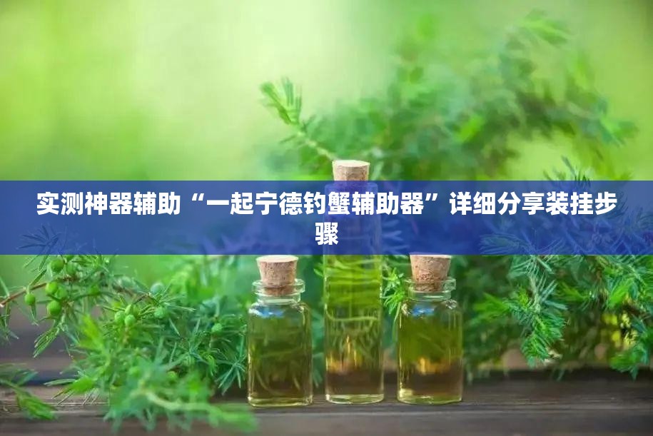 实测神器辅助“一起宁德钓蟹辅助器”详细分享装挂步骤