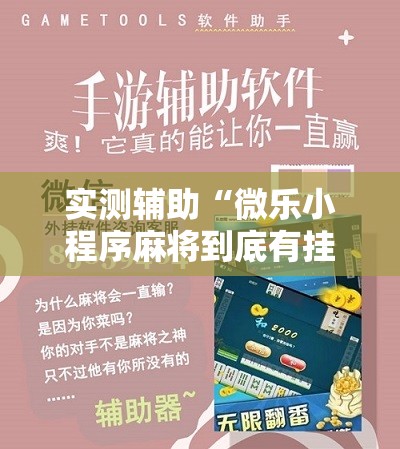 实测辅助“微乐小程序麻将到底有挂没”细辅助教程分享