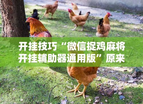 开挂技巧“微信捉鸡麻将开挂辅助器通用版”原来可以开挂
