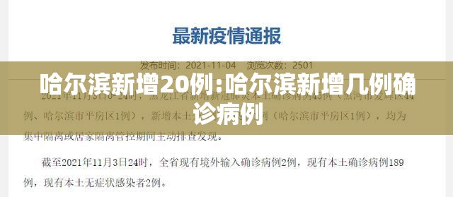 哈尔滨新增20例:哈尔滨新增几例确诊病例