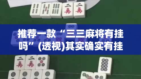 推荐一款“三三麻将有挂吗	”(透视)其实确实有挂