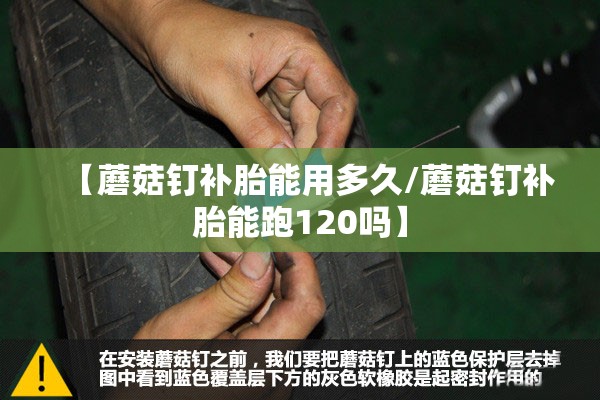 【蘑菇钉补胎能用多久/蘑菇钉补胎能跑120吗】
