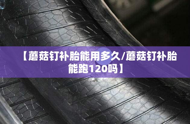 【蘑菇钉补胎能用多久/蘑菇钉补胎能跑120吗】