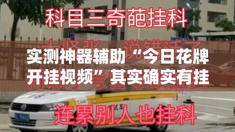 实测神器辅助“今日花牌开挂视频”其实确实有挂
