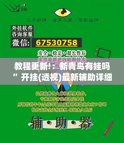 教程更新!：新青鸟有挂吗	”开挂(透视)最新辅助详细
