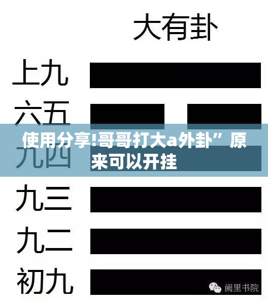 使用分享!哥哥打大a外卦”原来可以开挂