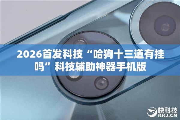 2026首发科技“哈狗十三道有挂吗	”科技辅助神器手机版
