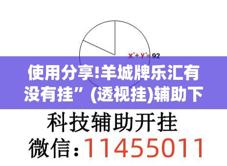 使用分享!羊城牌乐汇有没有挂”(透视挂)辅助下载教程