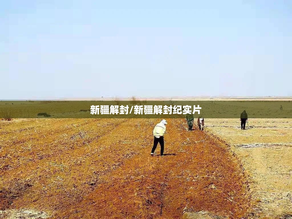 新疆解封/新疆解封纪实片