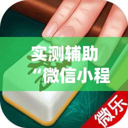 实测辅助“微信小程序微乐南昌麻将有挂吗	”(透视挂)辅助下载教程
