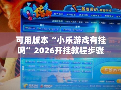 可用版本“小乐游戏有挂吗”2026开挂教程步骤