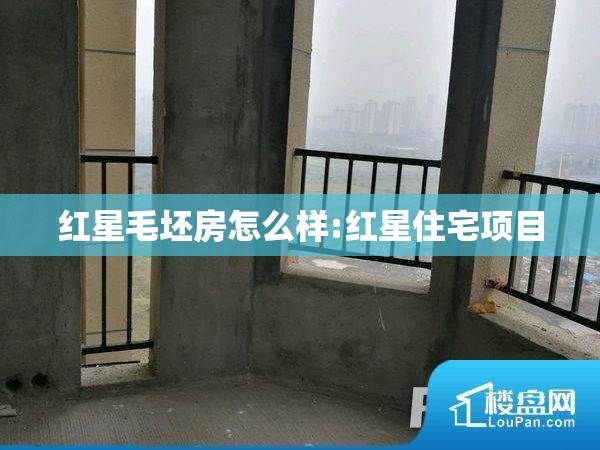红星毛坯房怎么样:红星住宅项目