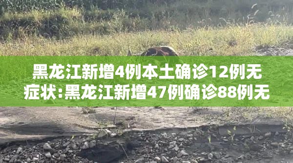 黑龙江新增4例本土确诊12例无症状:黑龙江新增47例确诊88例无症状
