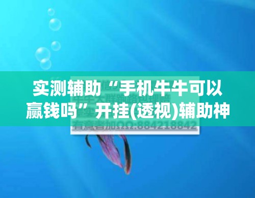 实测辅助“手机牛牛可以赢钱吗”开挂(透视)辅助神器
