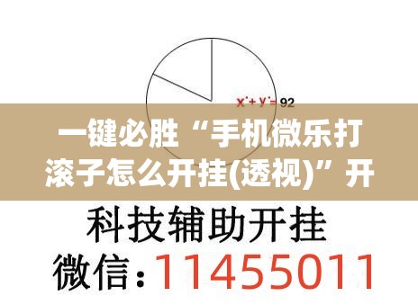 一键必胜“手机微乐打滚子怎么开挂(透视)”开挂辅助脚本+详细开挂安装教程