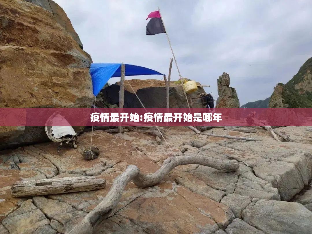 疫情最开始:疫情最开始是哪年