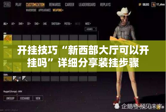 开挂技巧“新西部大厅可以开挂吗”详细分享装挂步骤