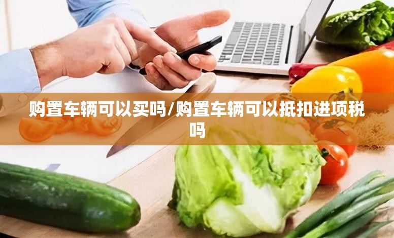 购置车辆可以买吗/购置车辆可以抵扣进项税吗