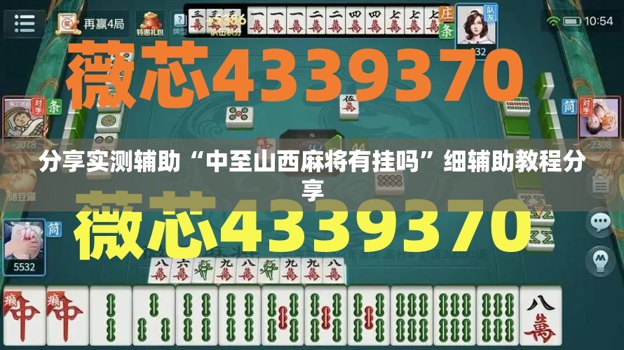 分享实测辅助“中至山西麻将有挂吗”细辅助教程分享