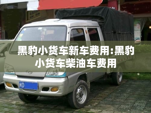 黑豹小货车新车费用:黑豹小货车柴油车费用